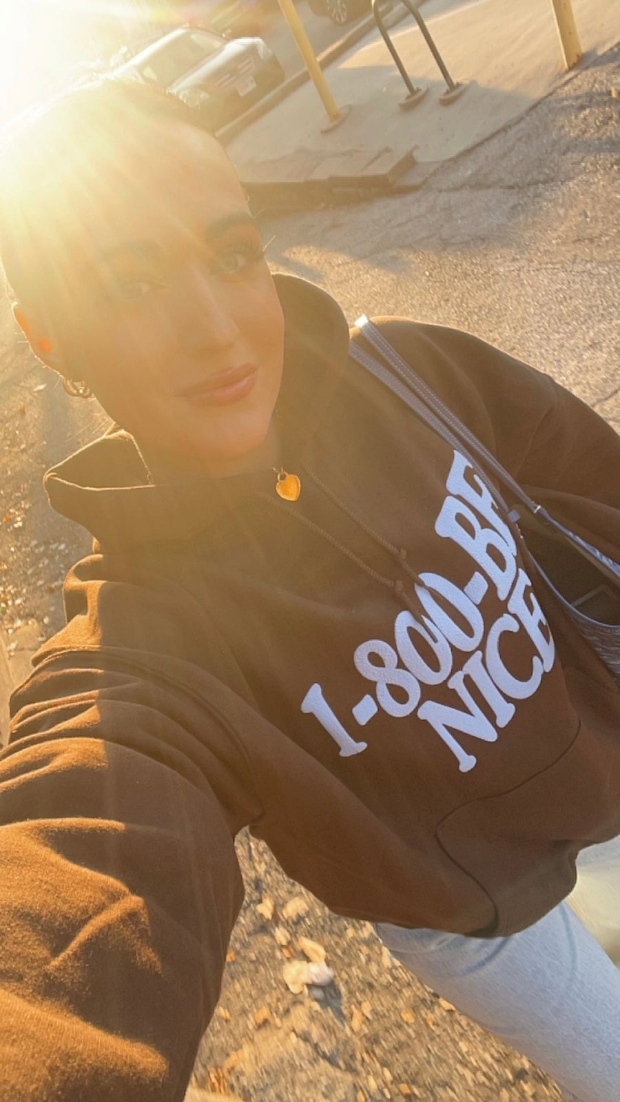 1-800 BE NICE HOODIE: DARK CHOCOLATE